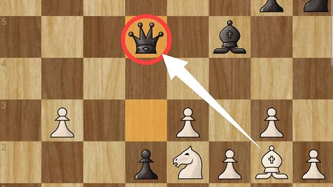 Opponent forget Bishop Exist#chess.