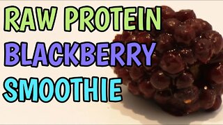 Garden of Life Raw Protein - Mangolicious Blackberry Smoothie