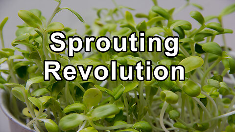 Doug Evans: From NYC Streets to Sprouting Revolution
