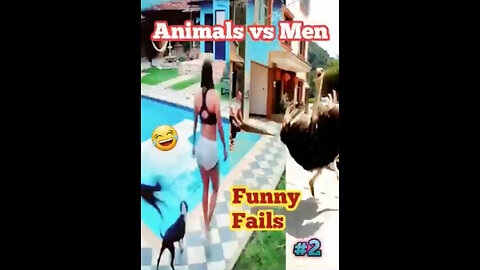 #Animals vs Men #funny fails #2 😂 #shorts