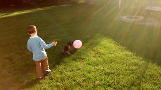 Toddler Boy Has A Meltdown Because Dog Popped His Balloon