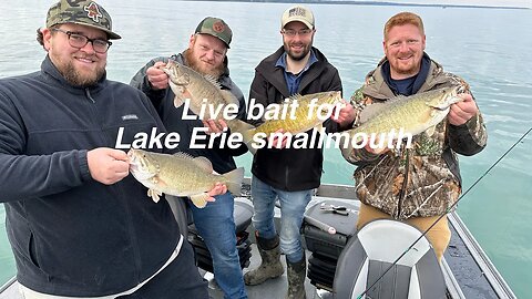 Live bait for smallmouth bass on Lake Erie. #smallmouth #lakeerie #spinningreels