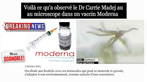 LE VACCIN MODERNA contient d'étranges créatures vivantes (Hd 720) Lire descriptif