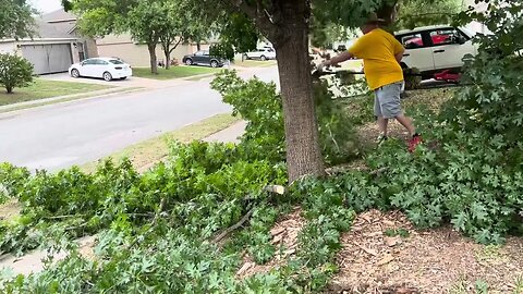 40 Volt Skil Pole Saw Tree Pruner #tree #home #yard #prune #trimmer #redoak #mowing #lawncare #dove
