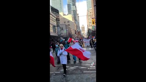 🇨🇦TORONTO MARCHING IN THE THOUSANDS 🇨🇦