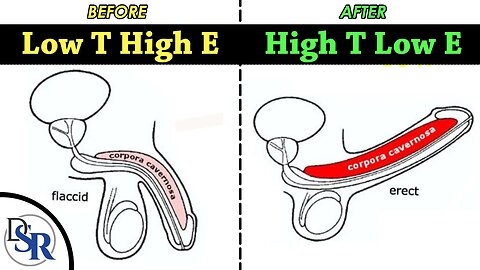 4 Best Ways To Naturally Lower Estrogen & Increase Testosterone