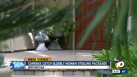 Encinitas security cameras catch elderly woman stealing packages