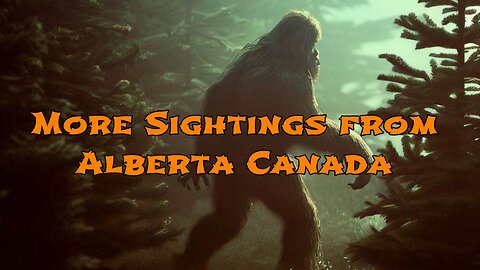 More Sightings from Alberta Canada