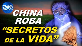 China roba códigos genéticos que podrían esclavizar a países enteros