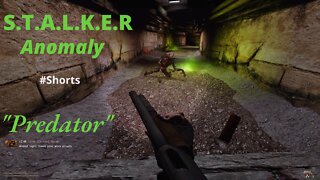 Predator (S.T.A.L.K.E.R Anomaly) #Shorts