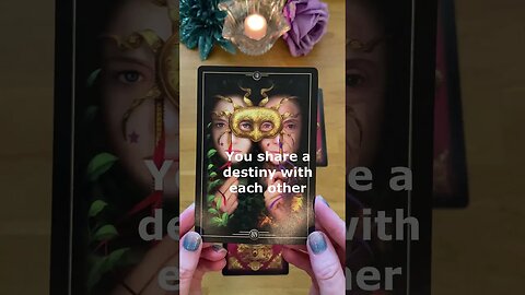 Pick a Card! Their Current Feelings for You 🌹 Love Tarot Reading ❤️‍🔥 #shorts #tarotreading