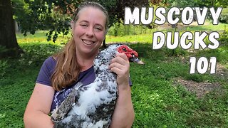 Why We Love Muscovy Ducks