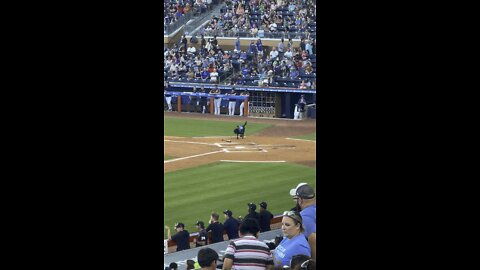 Doggy Bat Boy! Best good boy EVER in Baseball!