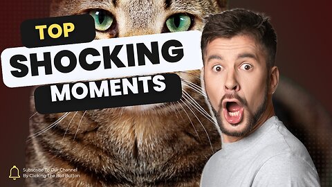 Top Shocked Moments of Animal