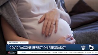 Early data shows COVID-19 vaccine safe for pregnant women