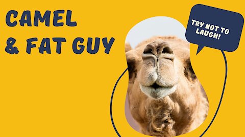 Funny Man on Camel