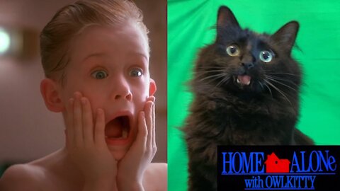 Home Alone with my Cat (Behind the Scenes)