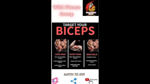 🔥Target your biceps🔥#fitness🔥#wildfitnessgroup🔥#shorts🔥