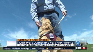 Dog walking people back into veterans life
