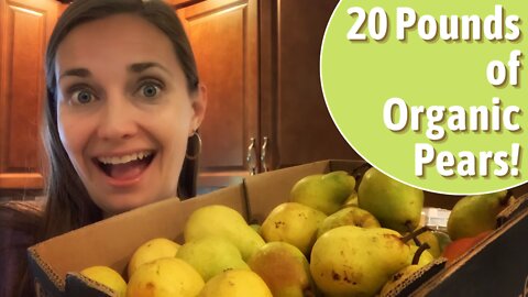 Let’s Preserve Pears - 5 Preserving Projects! | Pear Butter | Fruit Leather | Pear Scrap Vinegar