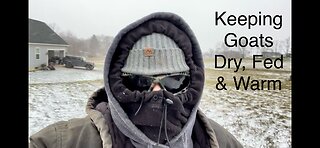 Polar Vortex; The weather outside is frightful | Keeping goats dry, fed, & warm | CDC shirt update!!