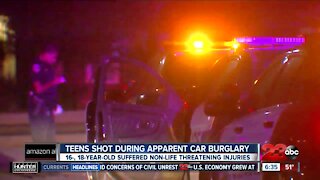 Two teens show during apparent car burglary