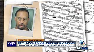 Tiger Woods expected to be in court for DUI plea deal