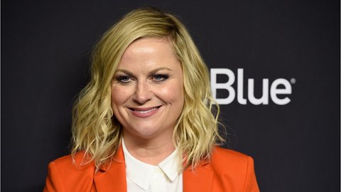Amy Poehler Addresses Parks And Rec Reboot Following Cast Reunion