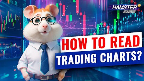 Investing for beginners: How to read trading charts ⚡️ Hamster Academy