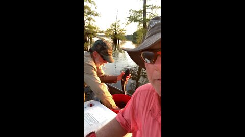 Fishing Louisiana