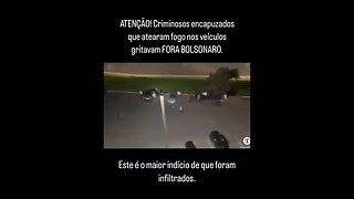 Infiltrados tocaram o terror em Brasília, não os Direitistas.