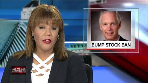 Sen. Johnson: ‘I have no problem banning’ bump stocks after Vegas mass shooting
