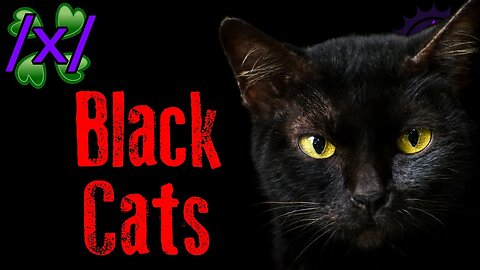 Black Cats | 4chan /x/ Paranormal Greentext Stories Thread