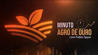 Milho sobe, café cai, gripe aviária, açúcar pujante e boi | Minuto Agro de Ouro - 27/05/23