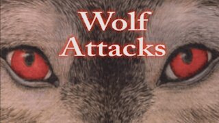 Werewolfentary Part Four ( Werewolf Documentary )