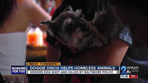 Doggie Disco fundraiser held in memory of dog killed by police five years ago