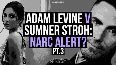 Adam Levine v Sumner Stroh : Narc Alert? Part 3