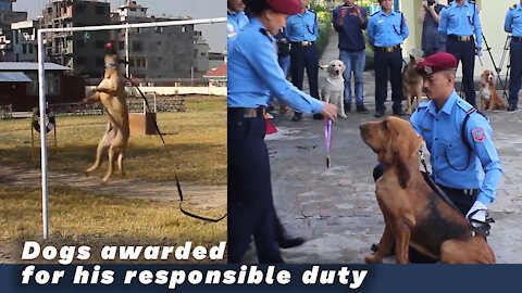Professional trained dogs in Police Service receive Award for his smart job