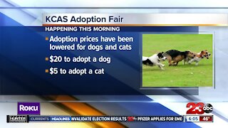 Kern County Animal Services hosting an adoption fair this morning