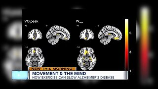 New study shows major link between exercise and brain health
