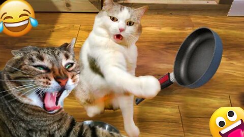 🤣🤣Best Cat Funny Videos compilation - Fail And Pranks😂#PetValleyy