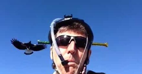 Ciclista costruisce un casco anti-uccelli