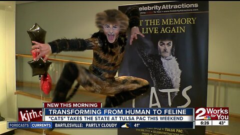 Human to Feline: Travis Guillory transforms into cat from Cats musical