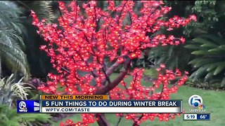 5 fun things to do over winter break with your kids