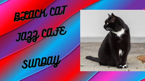 Relax with jazz at BLACK CAT JAZZ CAFE SUNDAY