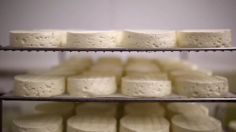 Discover Colorado and the exquisite taste of goat cheese at Haystack Mountain Creamery in Longmont