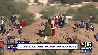 Camelback Christmas tree returned to mountain by Santa
