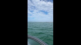 Livestream Replay - Boat Ride from Cape Romano to Marco Island with Dolphins!