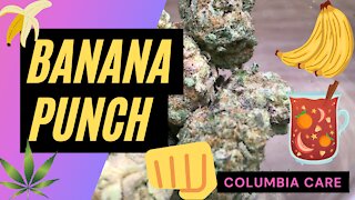 Columbia Care Banana Punch Flower Review