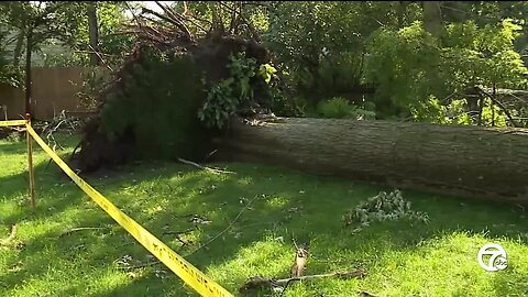 Grosse Pointe area residents clean up damage as severe storm threat continues